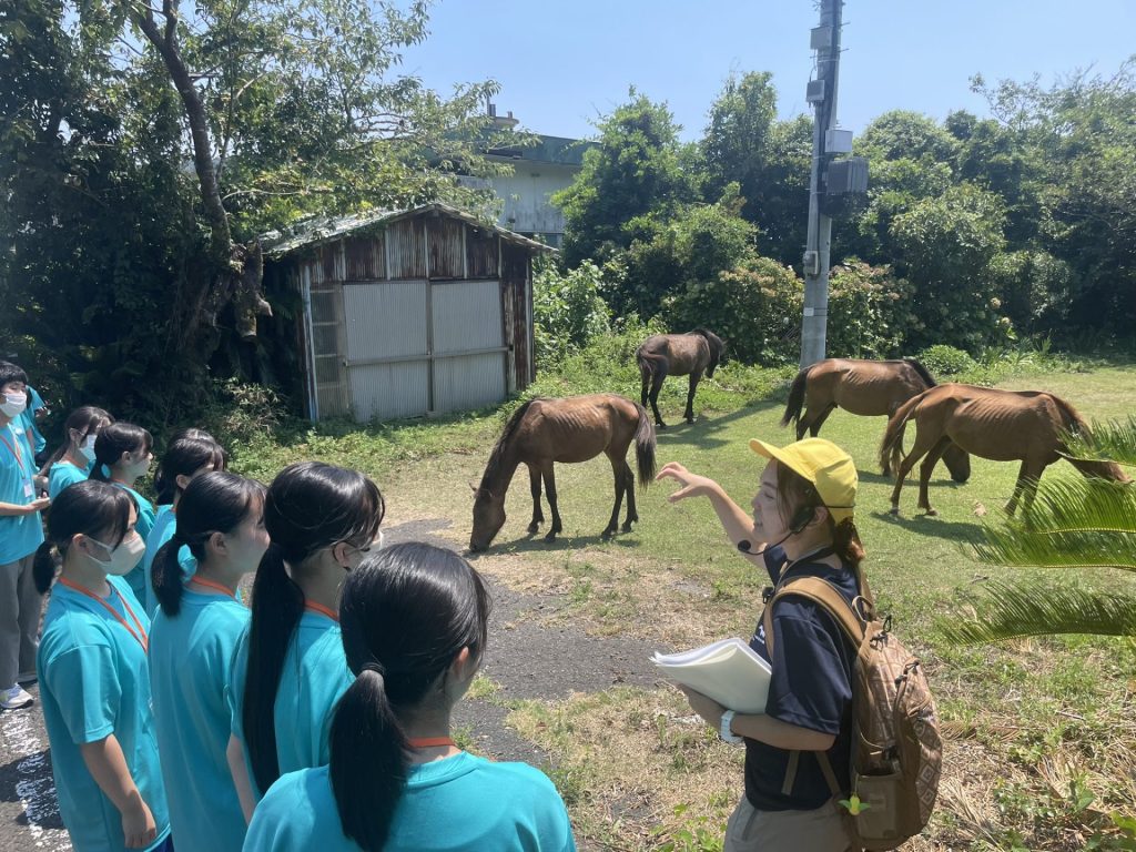 IMG 7939 日章学園 鹿児島城西高等学校