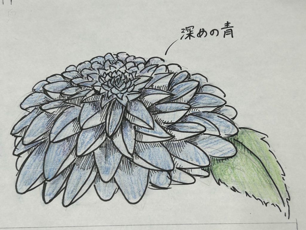 IMG 9606 1 日章学園 鹿児島城西高等学校