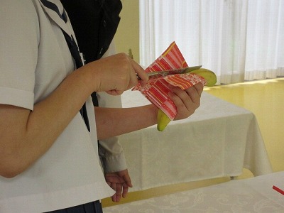 IMG 2131 1 日章学園 鹿児島城西高等学校